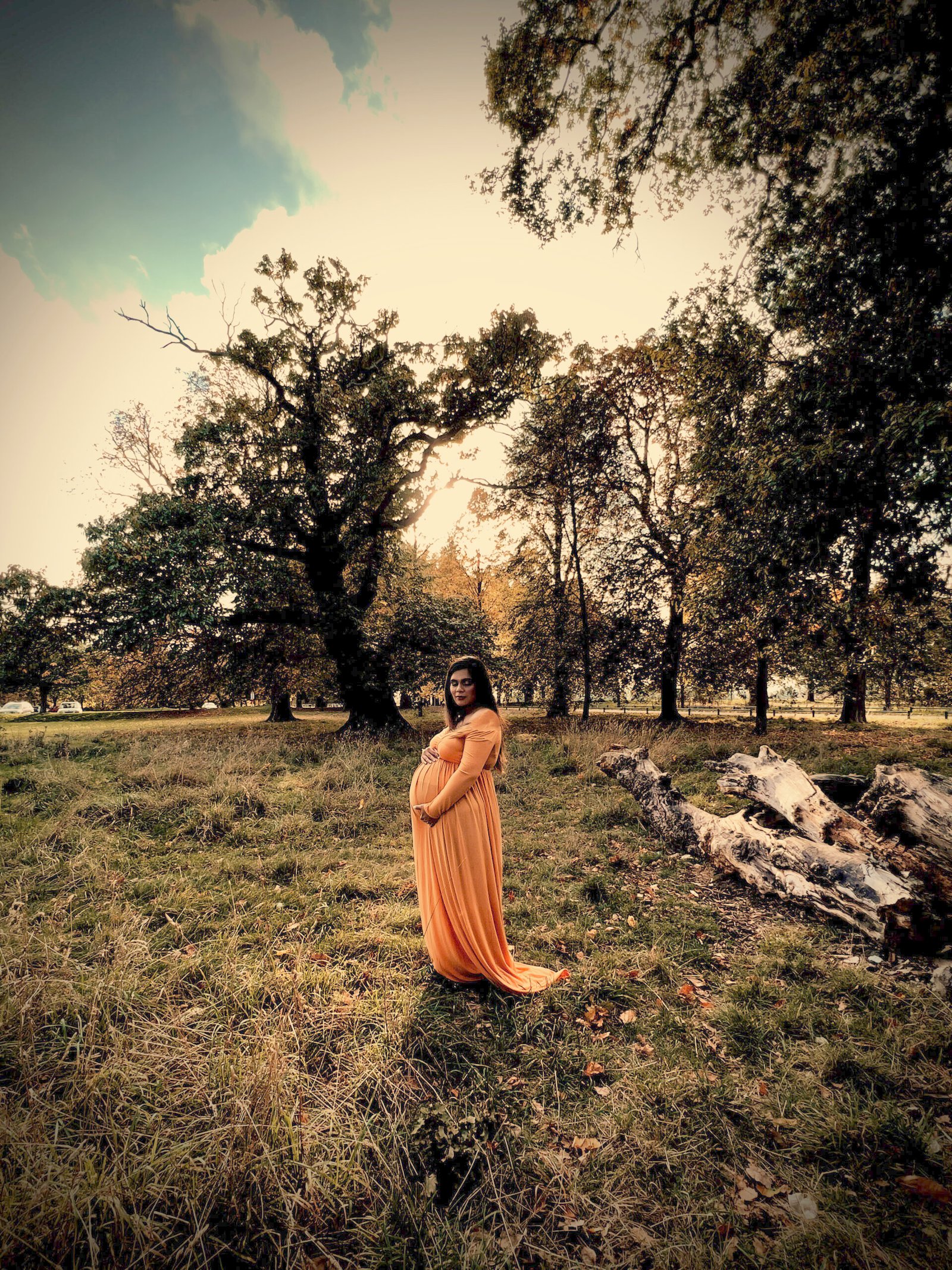 Maternity portrait, autumn park setting — MZ Photographer Maternity Photography